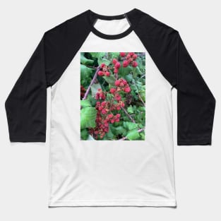 Berry Baseball T-Shirt